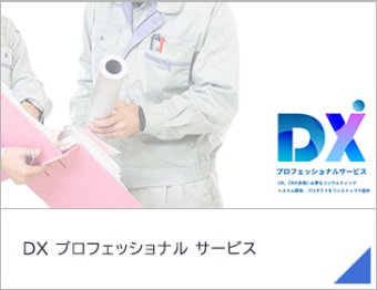 DX プロフェッショナル サービス
